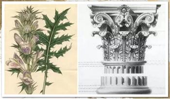 ����Ҽ��ζ��Aͥ���ŵ����c��(ji��n)�s����ײ