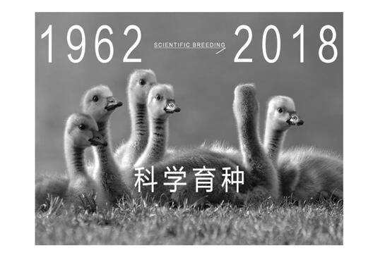 ����Ҽ����m�����q���¾��p��������