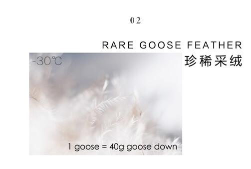 ����Ҽ����m�����q���¾��p��������