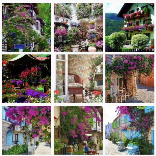 С�[�T(m��n)��������D����Ȧ�����c(di��n)Ҫ�󲻿�����������ƽ