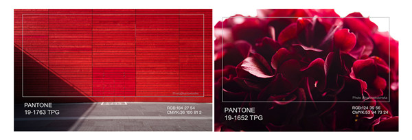 �Ї�����ɫ�f(xi��)��(hu�� )�l(f��)�������Ҿ�����ɫ������ɫ������t