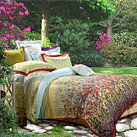 ���S��С�