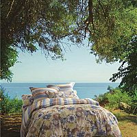 ���(y��ng)���_(k��i)