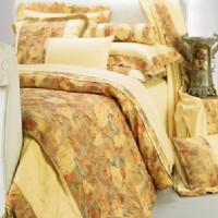 ��޹���Z(y��)