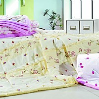 ���L(f��ng)���ś���