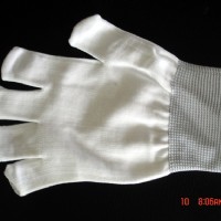 ������ָ����