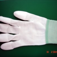 ����PUָ����