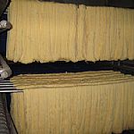 ���ظߜظ��N����(xi��n)Ⱦɫ�»����֌�(zhu��n)�I(y��)