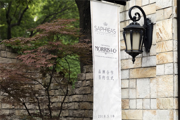 ���������Ī��˹��Morris���c�zܽ��(li��n)�����_(k��i)��(chu��ng  )�Ҿ�IP�r(sh��)��