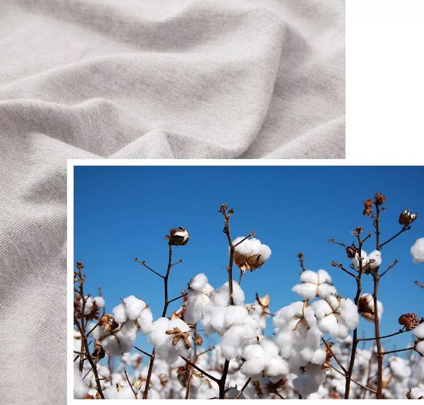 COMOLIVING�Ƴ��~������˯���������ߵ�����ęn