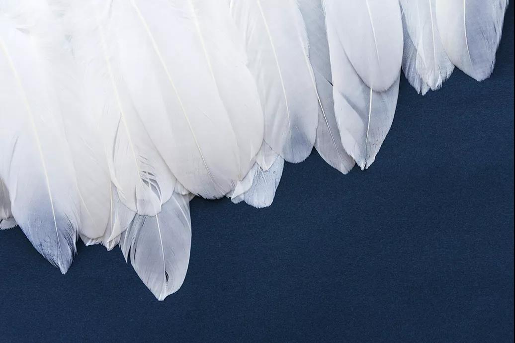 ����Ʒ�Z�q�����˜ʳ��_���쿴�����I(m��i)�ı����_���˛](m��i)��