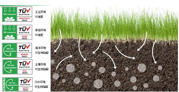 �۽��ɳ��m�l(f��)չ���c(di��n)���ṩ��S��Q�������m�����Є�(d��ng)��