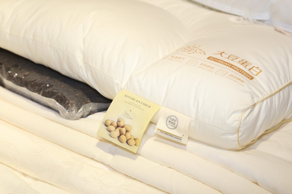 ���������|�����W(xu��)�����칤ˇ�͹żҼ��������u��ӛ����&�����ס�ϵ�аl(f��)����(hu�� )��Cieltown�Ġ�С�2022�ﶬӆ؛��(hu�� )�����u�e��